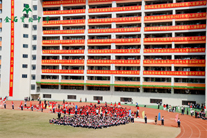 金石實驗中學(xué)國際部校園環(huán)境