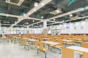 廣東外語外貿大學國際學院