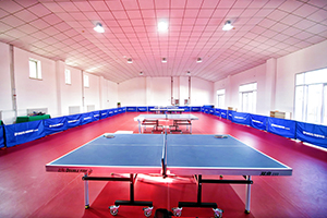 北京青苗國際雙語學(xué)校懷柔國際部