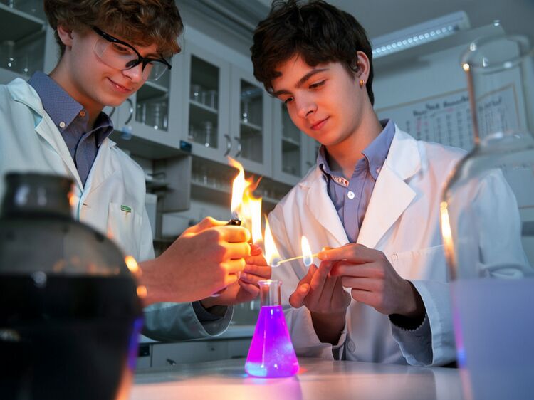 安徽國際職業學校