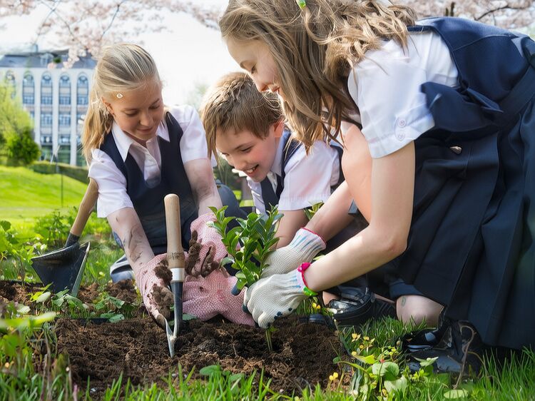 博達國際教育學校