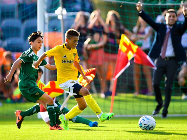 北京中德國際學校課程表