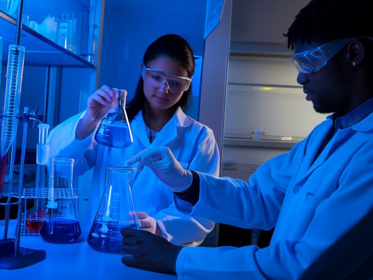 愛迪國際學(xué)校小學(xué)