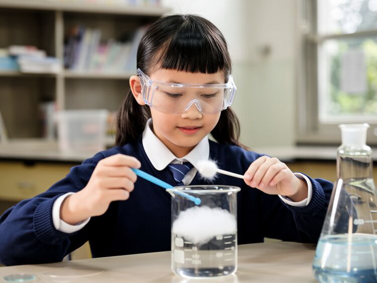 安徽國際職業學校