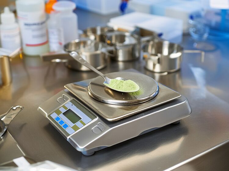 tlc東莞國際學校