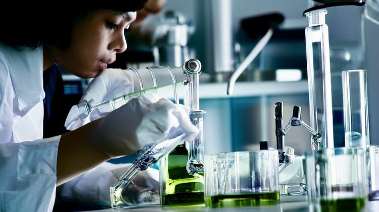 廣州英東國(guó)際學(xué)校官網(wǎng)