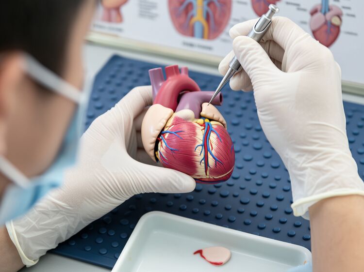 北京有哪些國際初中學(xué)校