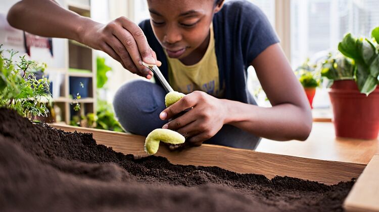 朝陽(yáng)區(qū)國(guó)際部學(xué)校